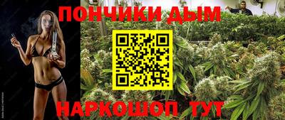 прущие грибы Тула